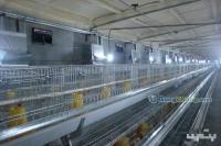 供應育雛升溫鍋爐 農(nóng)副產(chǎn)品領域的可靠選擇